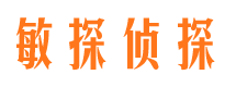 惠阳市调查公司